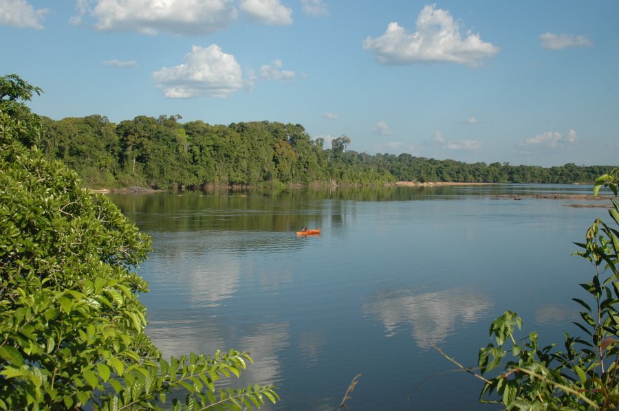 Река в Гайане